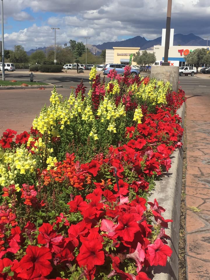 Cherry Landscape, Inc. project
